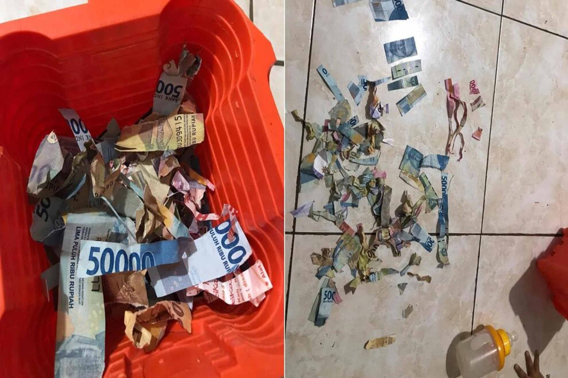The toddler shredded banknotes in various denominations with a pair of scissors.