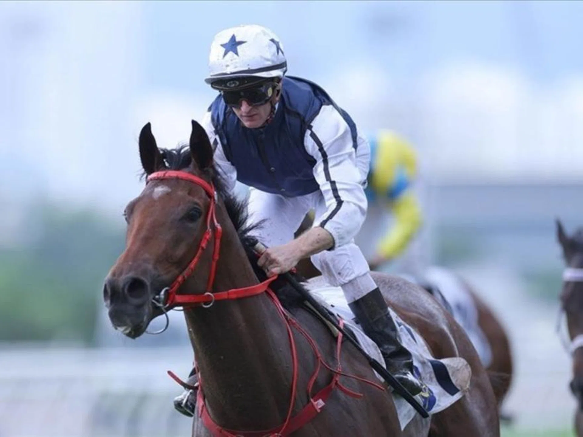 Dennis Yip's Fast Network is hard to beat after he demolished his rivals by over four lengths last time. Zac Purton was aboard at all his three wins and will partner him again in the Lukfook Jewellery Cup at Sha Tin on Dec 15.
