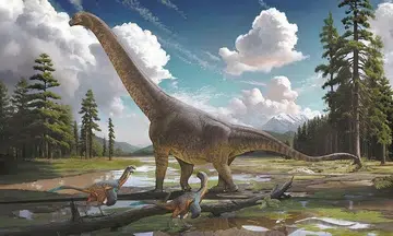 90m-year-old fossils in China are of undiscovered dinosaur