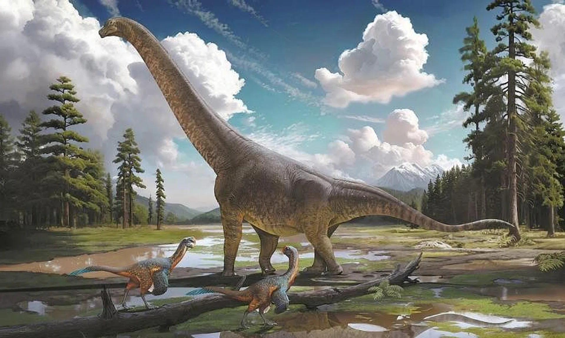 The fossils of Gandititan cavocaudatus were found at a construction site in the eastern province of Jiangxi in June 2021.