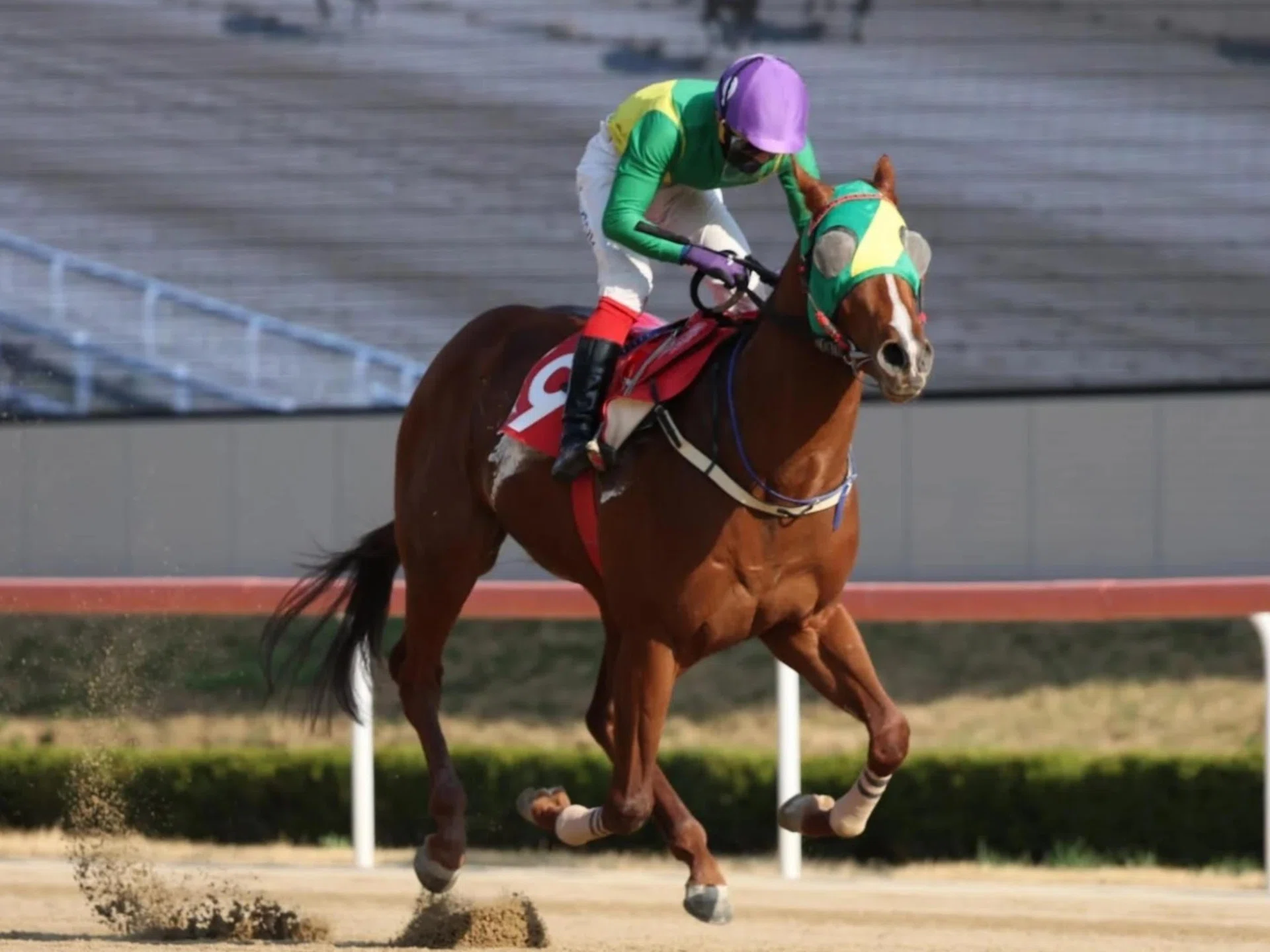 Oasis Blue (Jin Kyum) strolling to an easy win in the first leg of the Korean Triple Crown, the Group 2 KRA Cup Mile (1,600m) in Busan on April 6.
