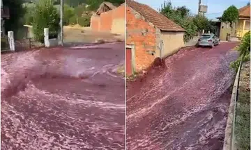 Portuguese town 'flooded' with 2.2 million litres of red wine after distillery tanks explode