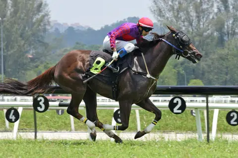 Always A Gentleman can show his wares