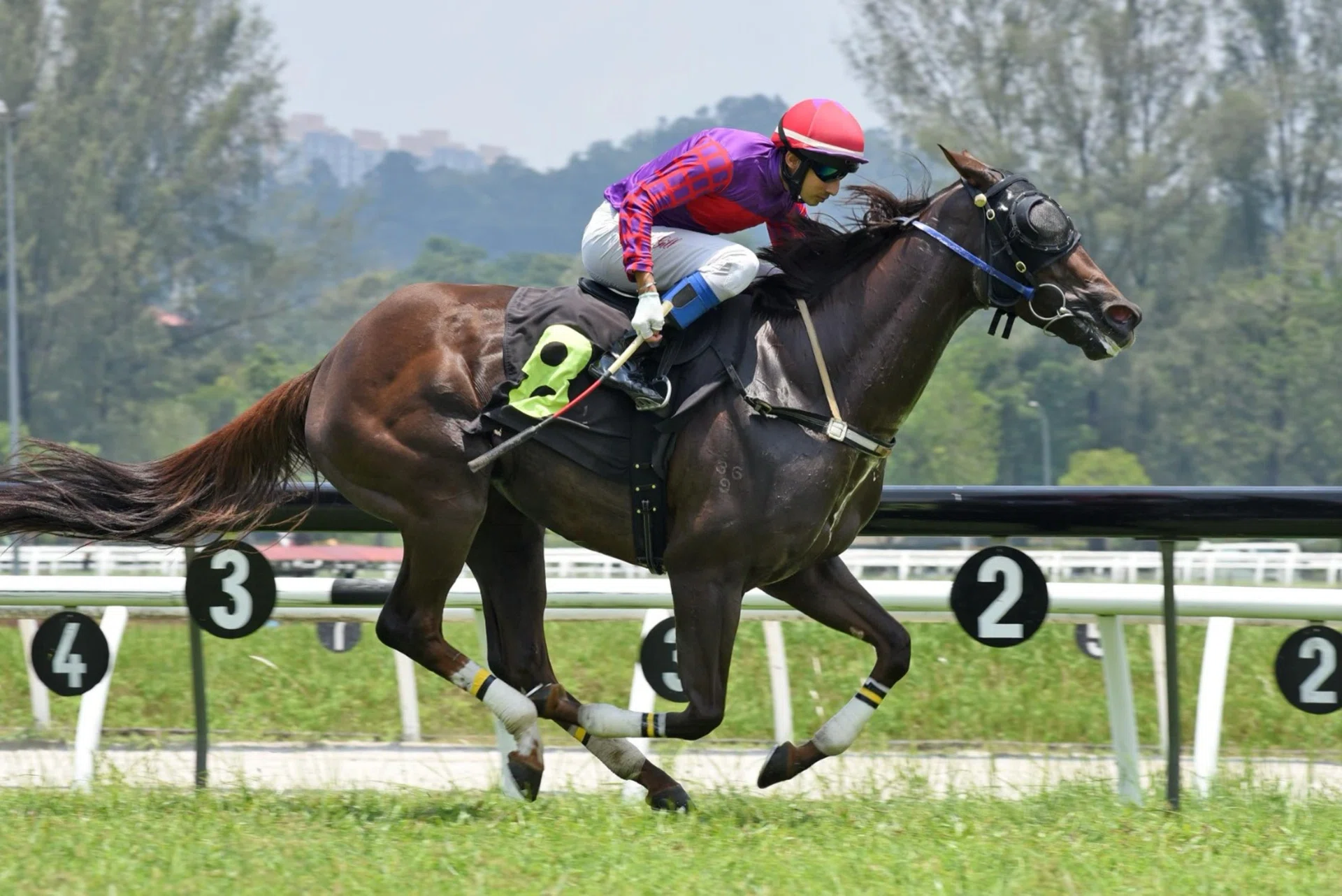 Digging Eight (Harmeet Singh Gill) taking out the Class 5A race (1,020m) on Sept 21. She can go back-to-back in a similar race at Sungai Besi on Oct 5.
