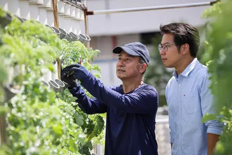 Mr Tham's father, Mr Ray Tham, helps his son maintain his farms.