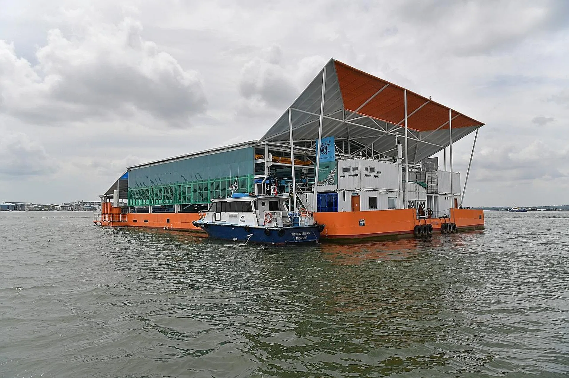 The Eco-Ark is said to be one of the first floating closed-containment fish farms in the world. 