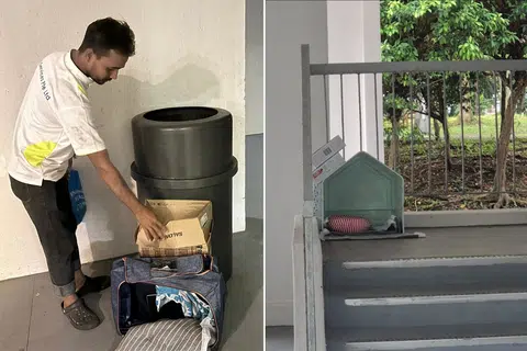 Cat lovers in Bukit Batok East defend makeshift feline shelters amid hygiene concerns