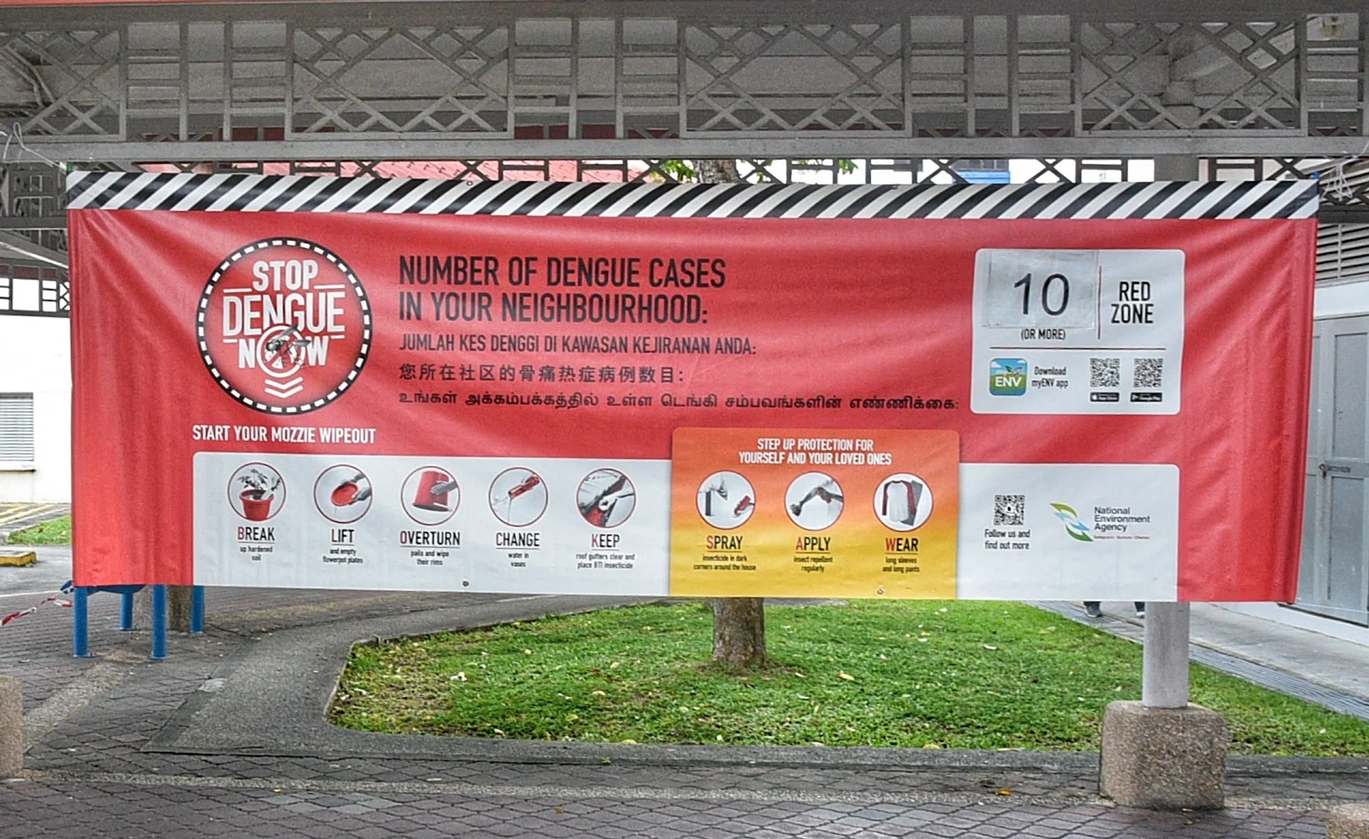 Singapore enters the traditional peak dengue season from June to October.