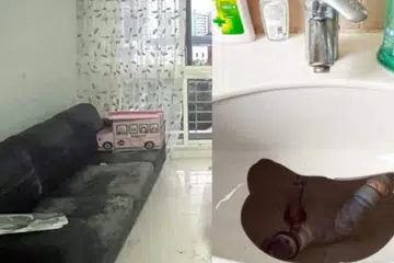 Tenants 'disappear', leaving condo in a mess and rent unpaid