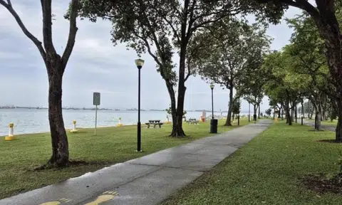 Male body found at East Coast beach