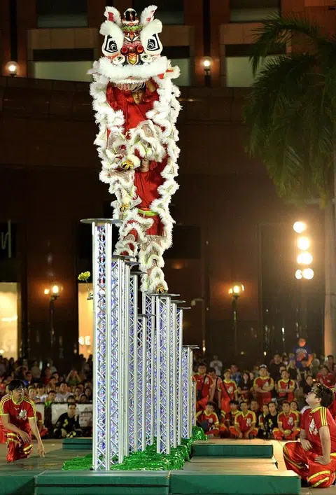 Young lion dancers left disappointed with slip