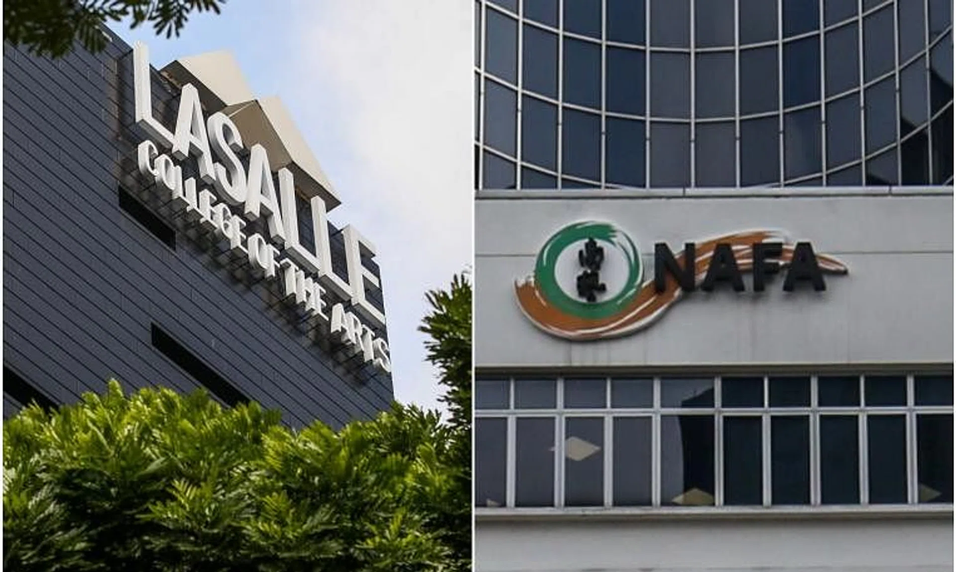 The University of the Arts Singapore will be formed by an "alliance" between Lasalle College of the Arts and the Nanyang Academy of Fine Arts.