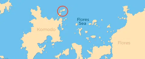 Singaporean woman found dead after scuba diving in Indonesia