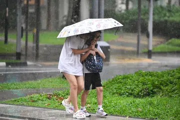 Warm, humid nights to continue till end-June; expect thundery showers in the day too