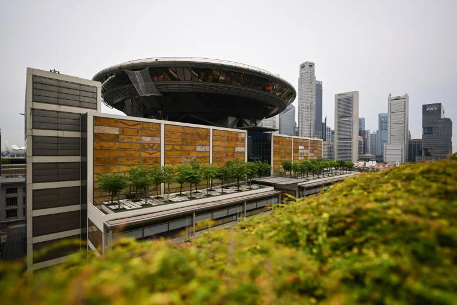 Wong Zhun Siong was convicted of raping a drunk 18-year-old woman after approaching her in Clarke Quay last year.