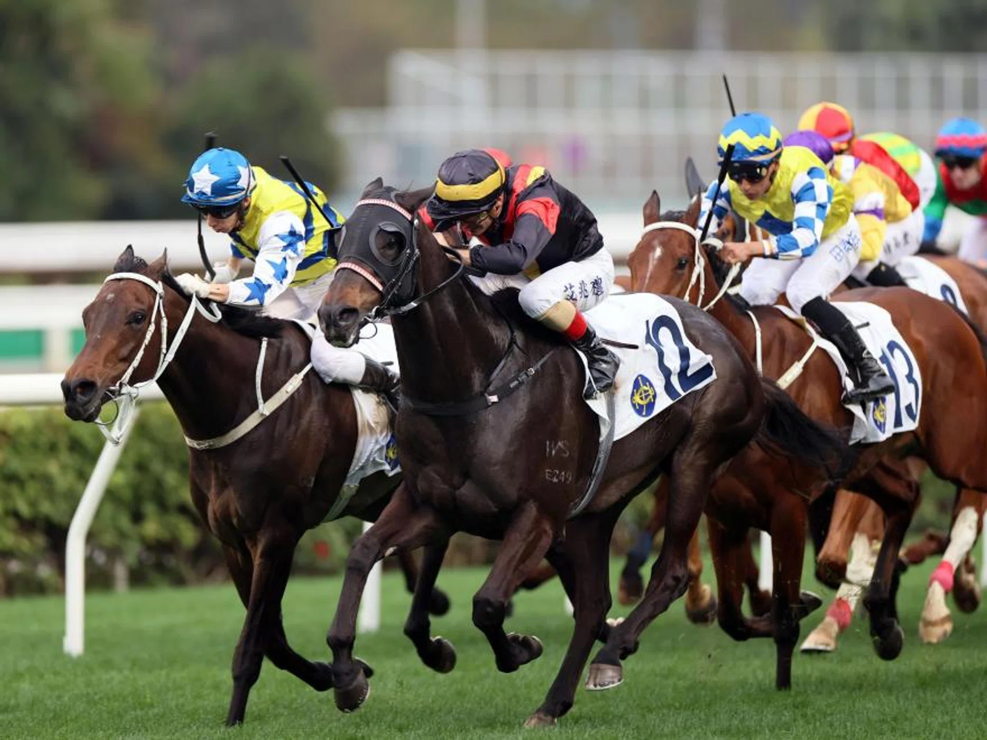 The Ricky Yiu-trained Nimble Nimbus (No. 12, Andrea Atzeni) landing the Group 3 Centenary Vase (1,800m) with a late surge at Sha Tin on Feb 4.
