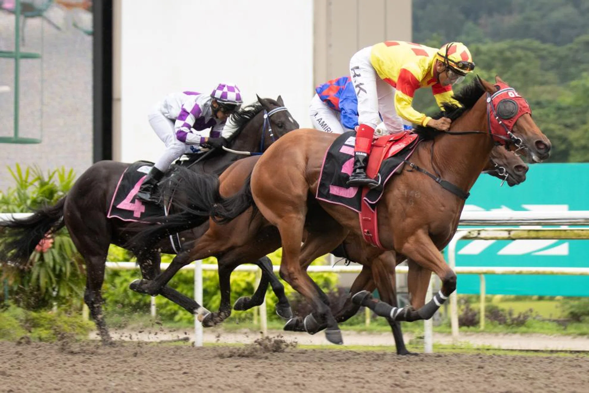 The David Kok-trained Sabah Ace (A'Isisuhairi Kasim) bringing up his third victory in a Class 4 race over 1,200m at Kranji on Feb 4, 2023.