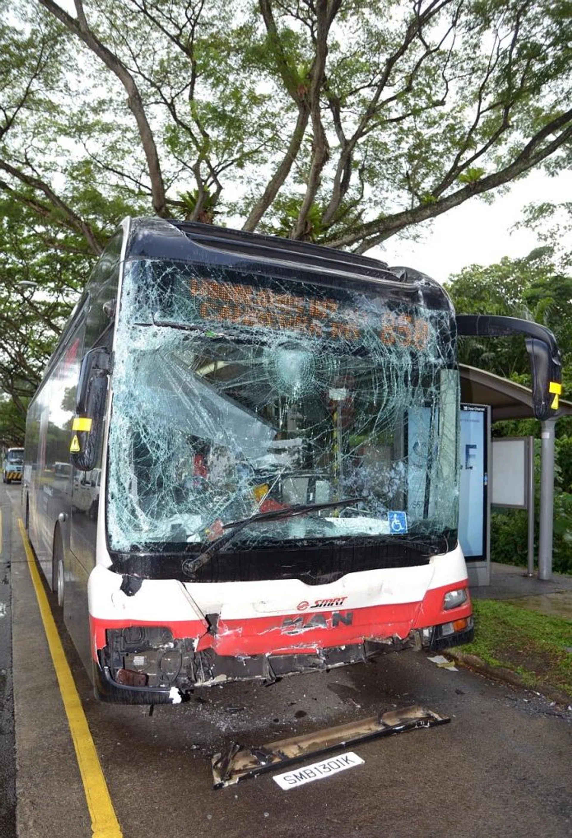 CRASH: Bus service 858 (above) hit the rear of bus service 854 when 854 stopped suddenly.