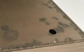 Family falls sick after mould grows on wardrobes