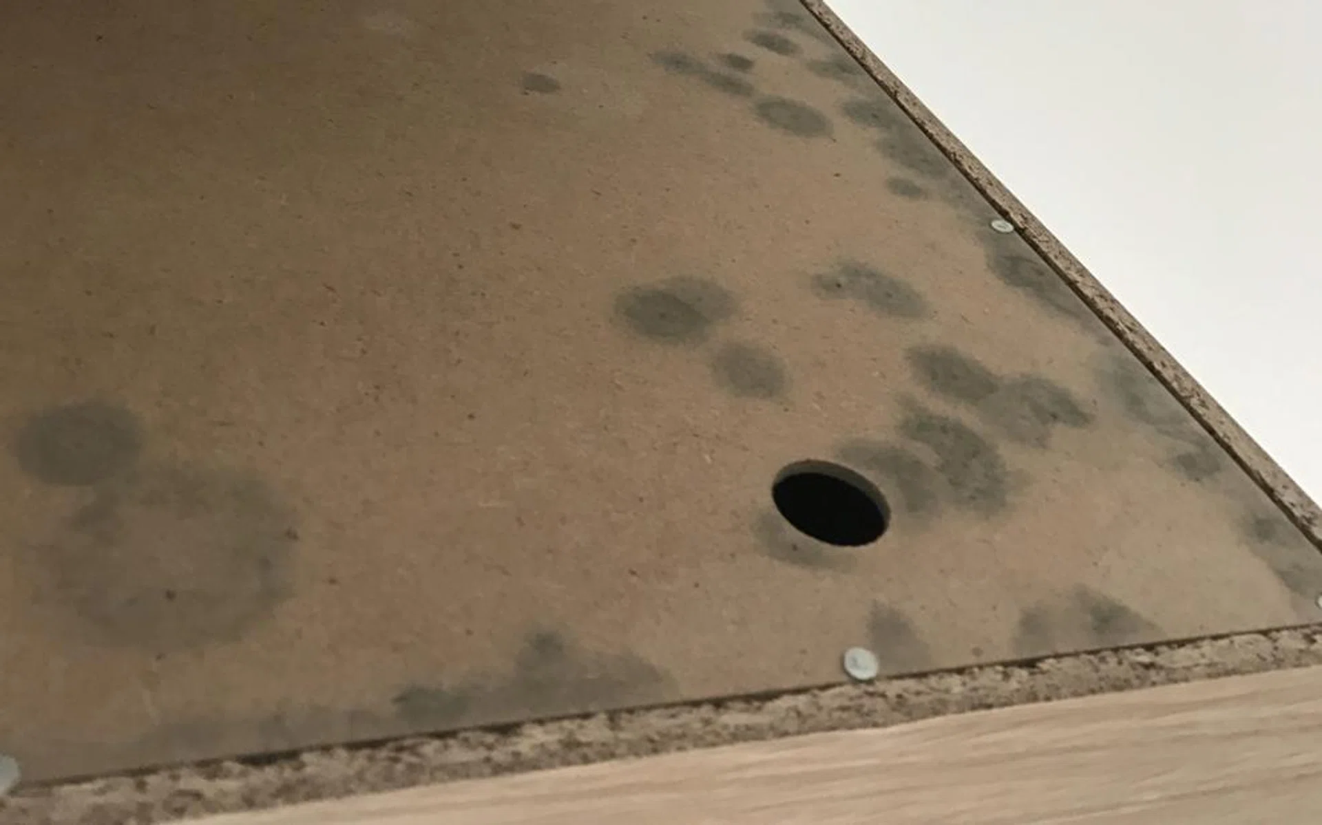 Mould growing on the brand-new wardrobes Ms Ang Hwee Chuin purchased.