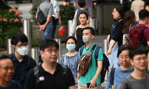 Covid-19 infections in Singapore stable from Dec 12 to 17