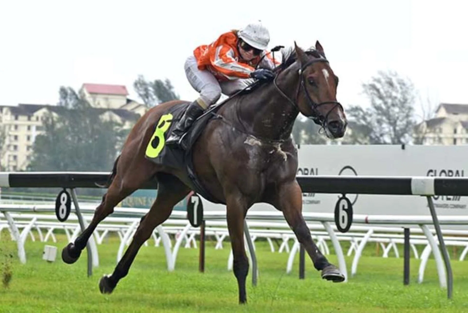 Pacific Victory (Jerlyn Seow) giving trainer Jason Ong his first Malaysia victory on Dec 28 in Kuala Lumpur.