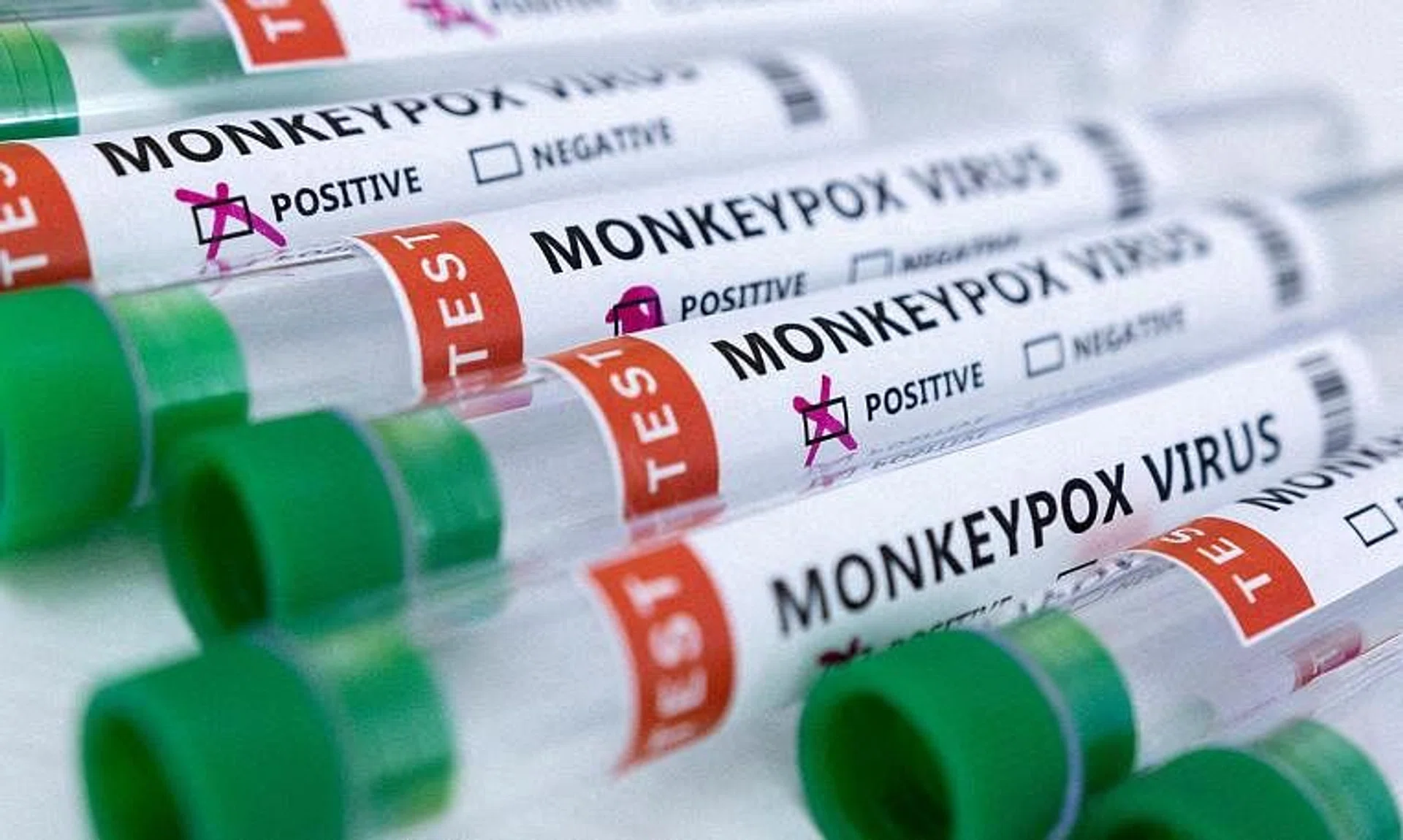 The new cases of monkeypox were recorded in the week between Sept 4 and Sept 10.