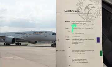 Coffee, tea, or imported dog food? China Eastern Airlines raises eyebrows with menu options