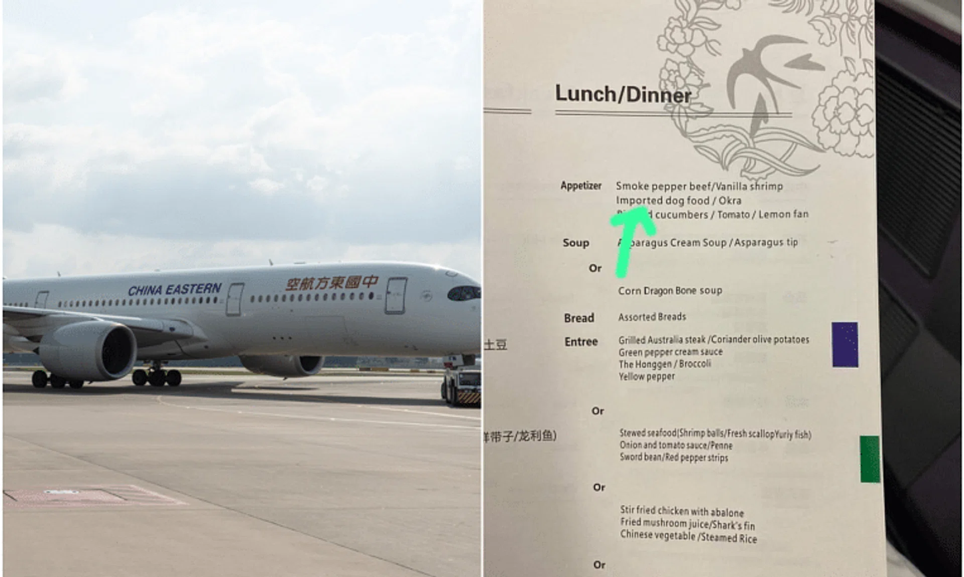 A passenger, Mr Conrad Wu, posted a photo of the lunch and dinner menu, with an arrow pointing to “imported dog food/okra” as one of the options for the appetiser.
