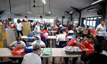 Minds to expand services at all its centres from April 2025