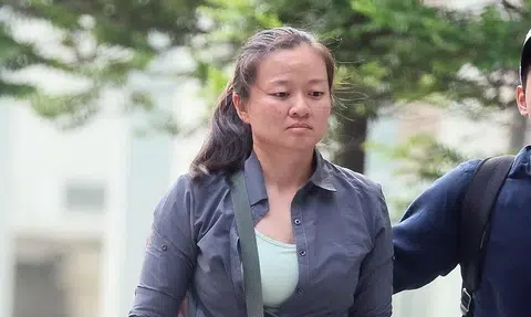 Instructor whose pupil fell from flying fox, jailed