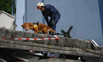 SCDF search dog barks when she finds a survivor, whimpers when it's a corpse