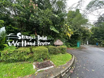 5 taken to hospital after hornet attack at Sungei Buloh