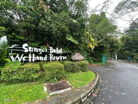5 taken to hospital after hornet attack at Sungei Buloh