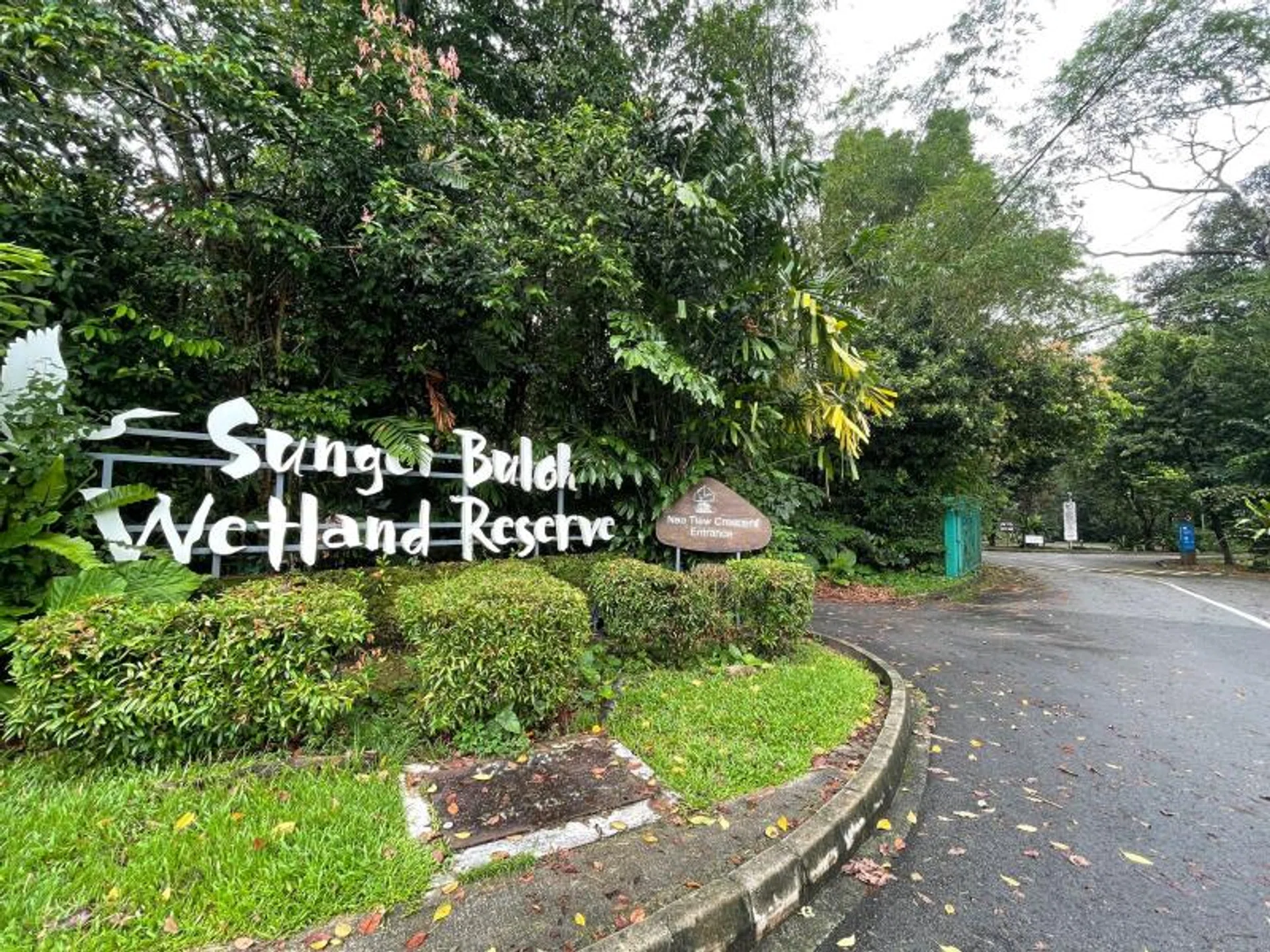 Some visitors were seen putting ice packs on their heads after getting stung by bees at Sungei Buloh Wetland Reserve.