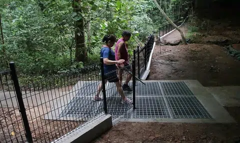 Barriers at 3 sites in Zhenghua Nature Park to keep residents safe from wild boars