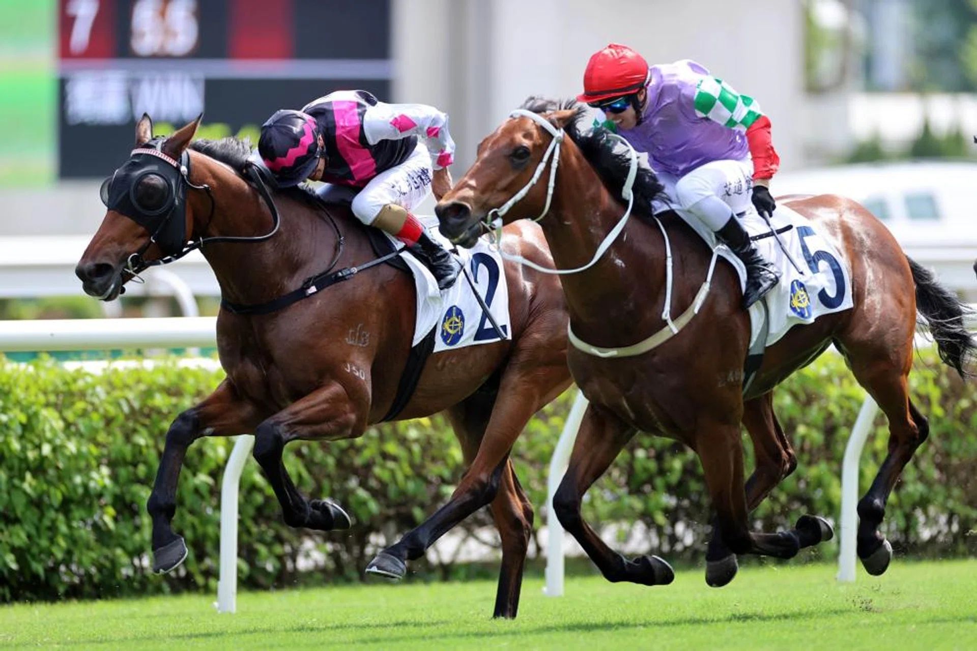Awesome Fluke (Andrea Atzeni, No. 2) tried to make all in the Hong Kong, China's Paris 2024 Olympic Team Celebration Cup (2,000m) at Sha Tin on Oct 13, but was denied by Winning Dragon (Brenton Avdulla). The Tony Cruz-trained galloper will be in the way again in the Buffalo Bill Handicap at Sha Tin on Dec 29.