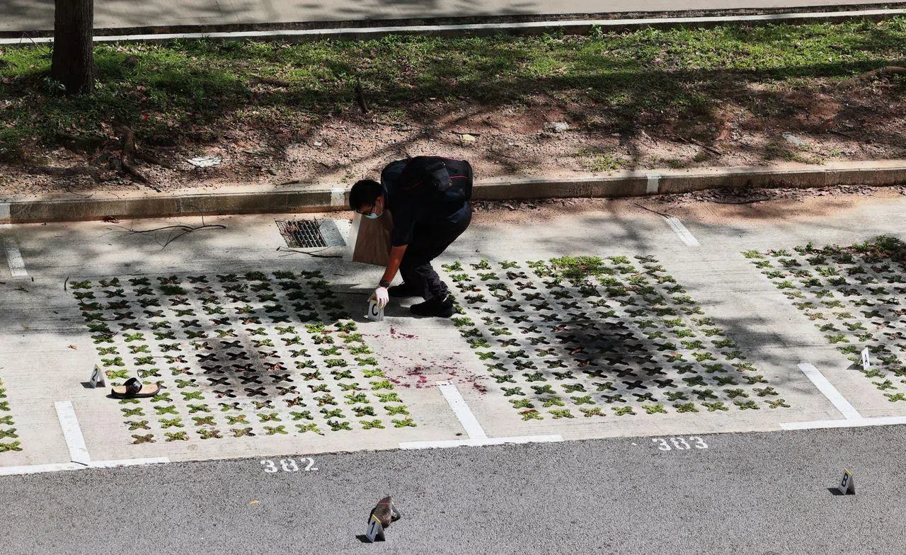 Man who allegedly slashed another, injured cops in Hougang while naked to be charged