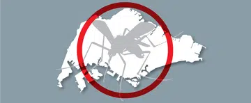Dengue cases expected to rise this year