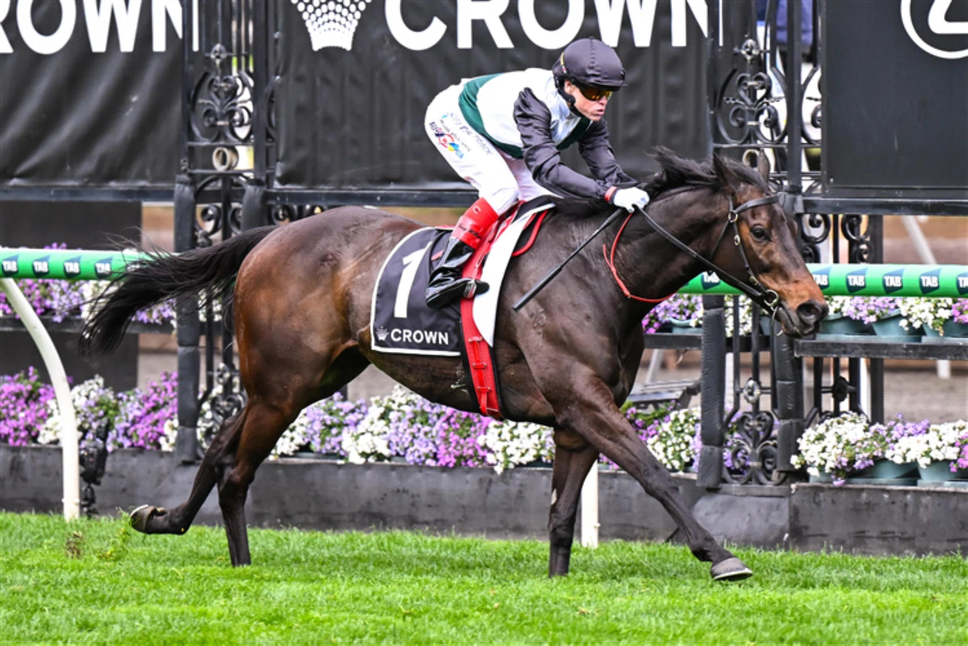 Mr Brightside (Craig Williams) asserting his superiority in the G1 Makybe Diva Stakes (1,600m) at Flemington for the third time in a row.