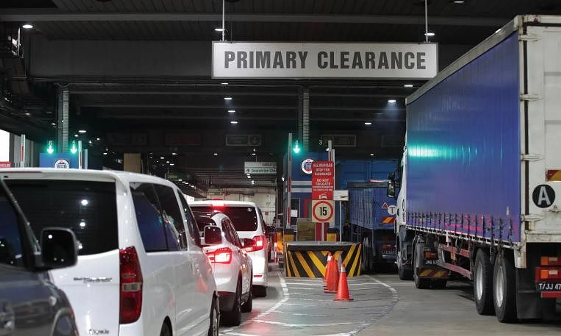 The animals were found hidden in the spare tyre compartment of a car by ICA officers at Woodlands Checkpoint. 