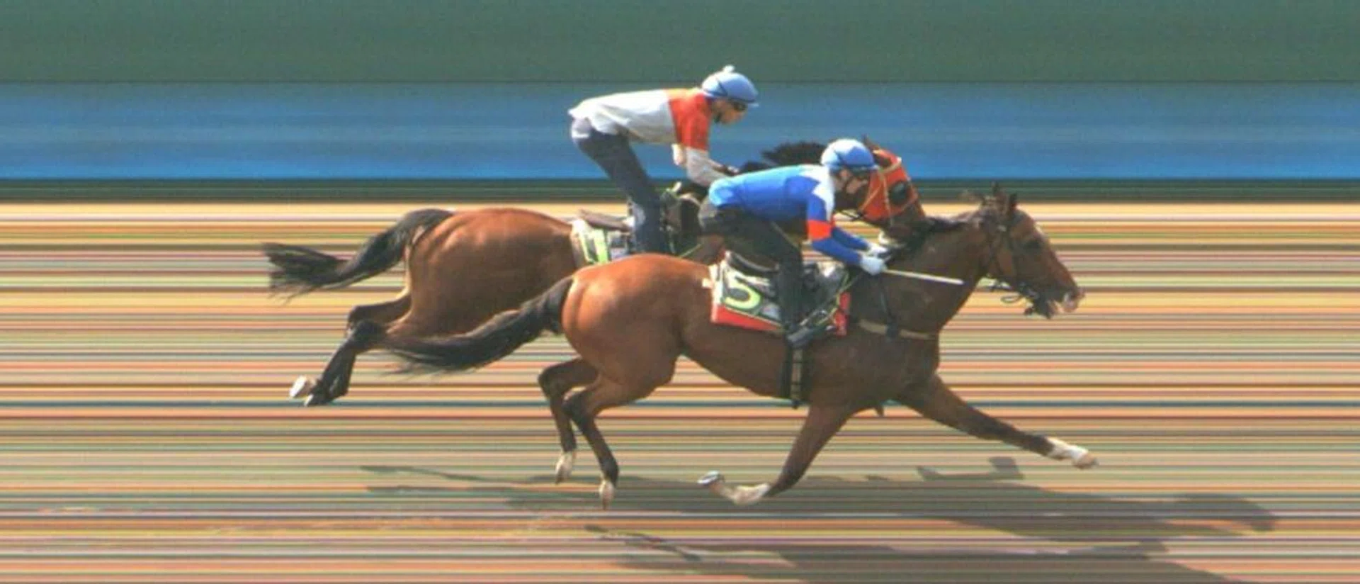 Dream Alliance (Ryan Curatolo) getting up in time to nab Red Dot (Bernardo Pinheiro) by a neck in Trial 2 at Kranji on Aug 1. 
