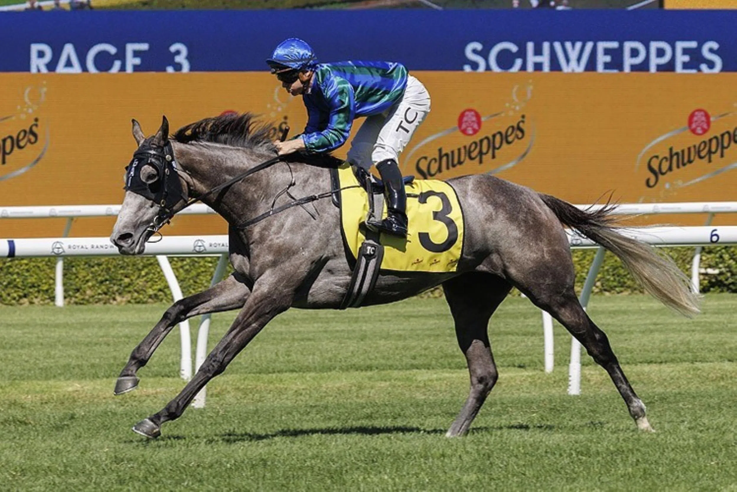 Take a chance on Alalcance