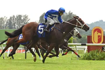 Race cards for Feb 17