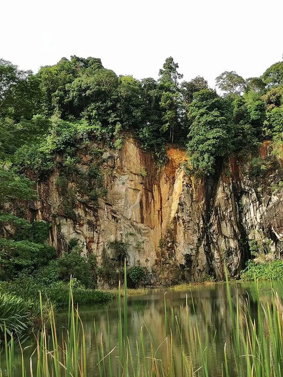 Rockslide At Singapore Quarry Startles Visitors The New Paper