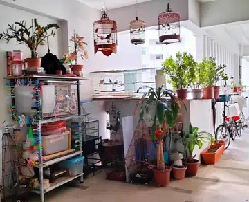 Residents riled by corridor clutter but man says TC approved
