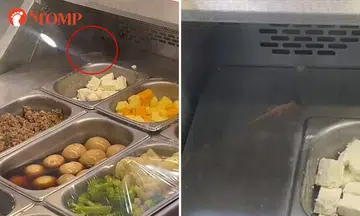 Yikes! There's a lizard on the salad bar in Cold Storage Claymore Connect