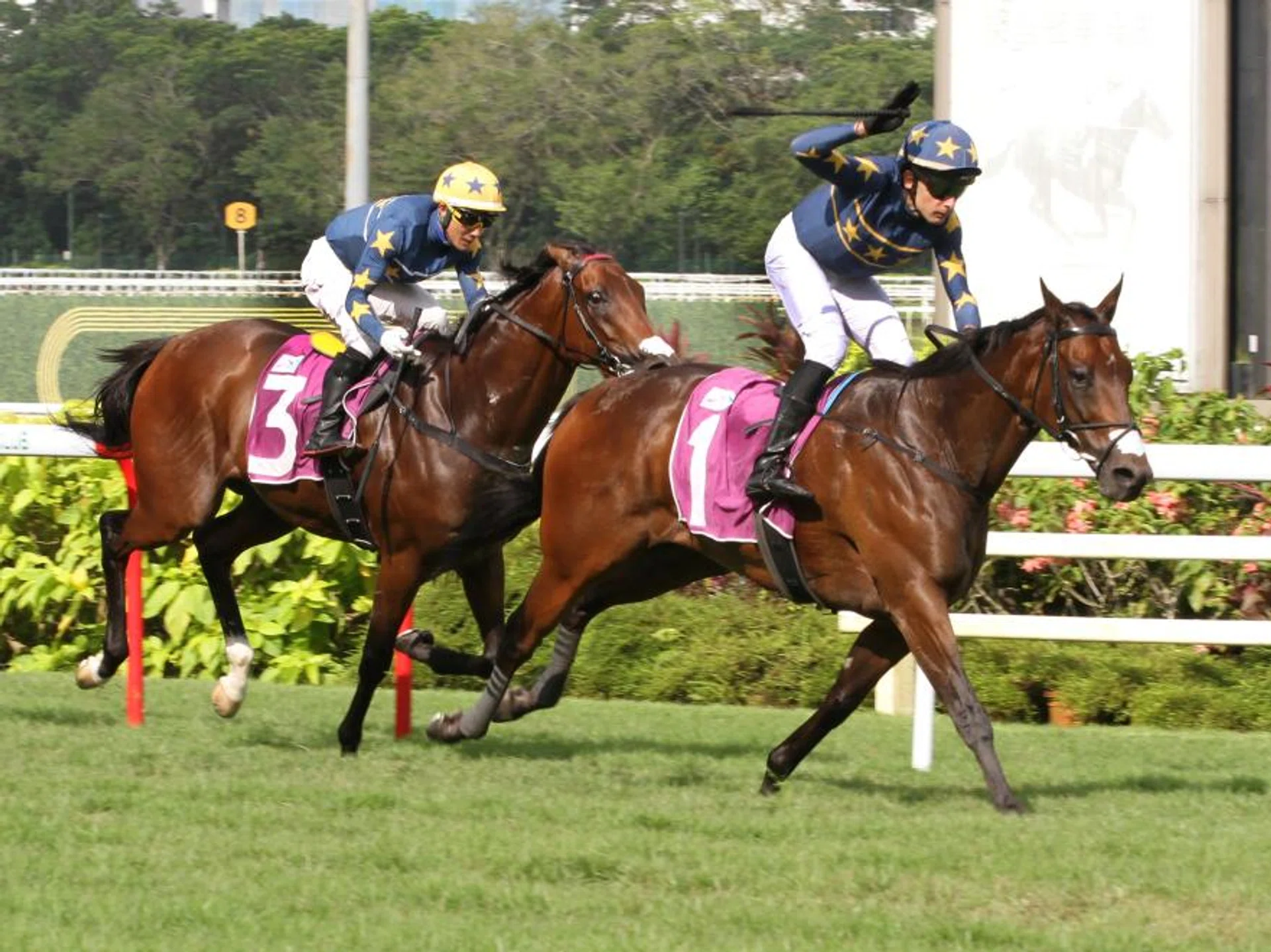 Marc Lerner steering Lim's Kosciuszko to a 10th Group 1 win on Sept 7, but a first for trainer Daniel Meagher in the Group 1 Queen Elizabeth II Cup (1,800m). Stablemate Lim's Saltoro (Wong Chin Chuen, No. 3) was third.