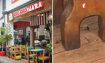 Dead cockroaches spotted in Korean restaurant in Tanjong Pagar, SFA to take action