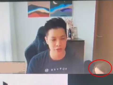 Wife crawls across room during husband's work video call, leaving viewers in stitches